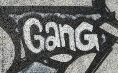Attitudes Toward Gangs [ATG-9]