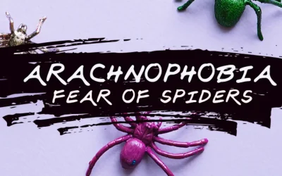 Spider phobia questionnaire for children [SPQ-C – 29]